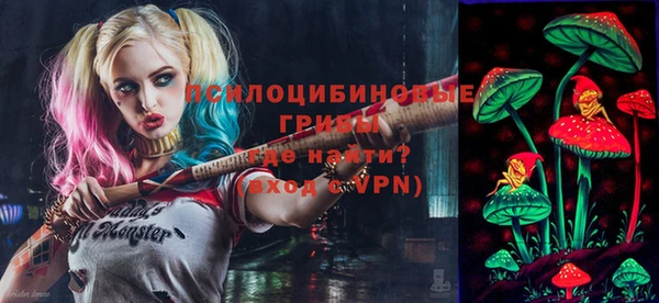 ешки Балахна